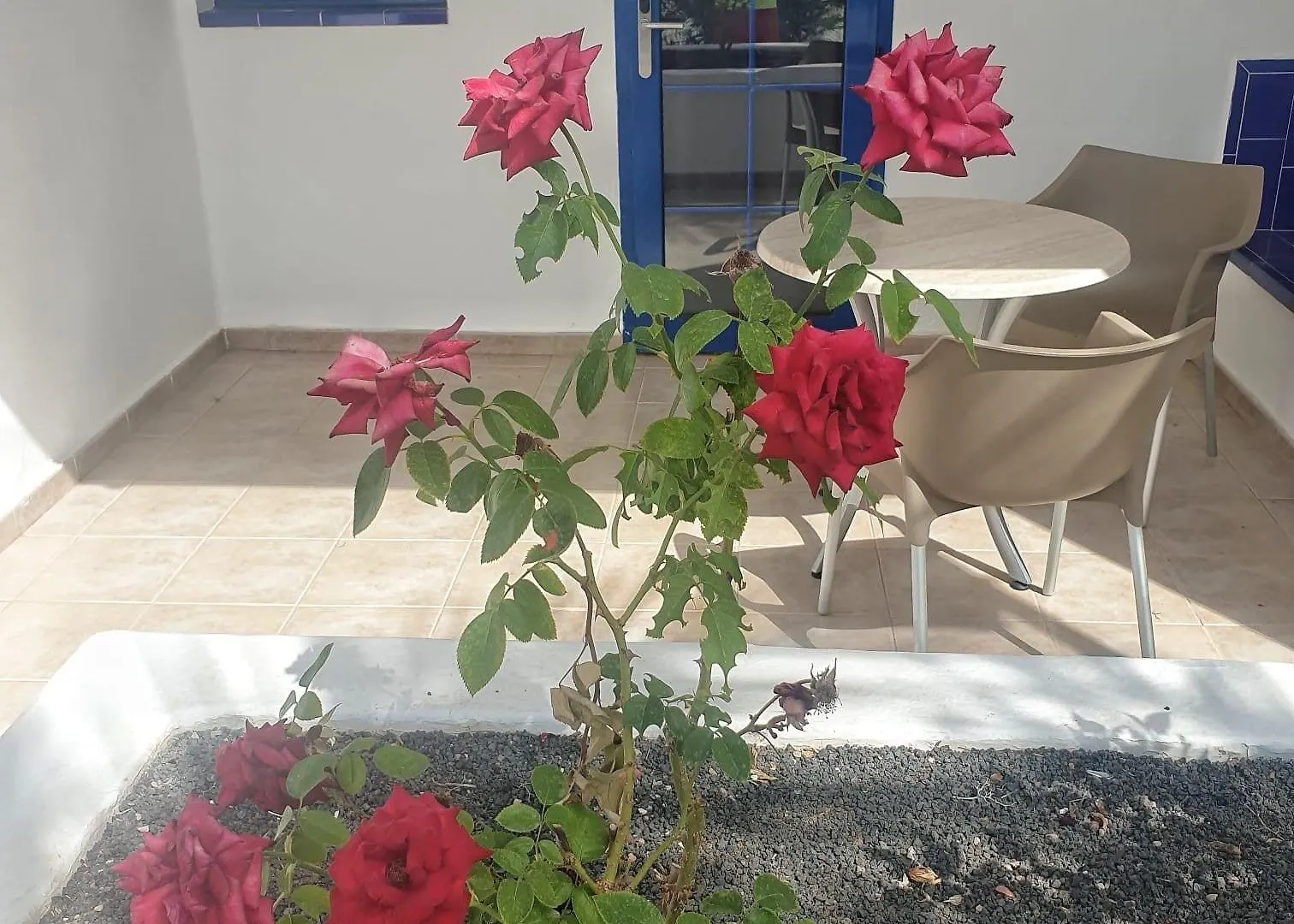 Apartamento Cinco Plazas Puerto del Carmen